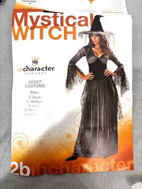 Mystical Panne’ Grey Blk Velvet Lace Witch & Hat InCharacter  NOS NWT